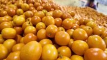 広西の特色ある果物、健康関連市場で100億元規模に急成長―中国