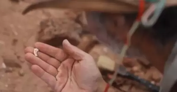 カラスほどの「ミニ恐龍」化石、アルゼンチンのパタゴニアで発見