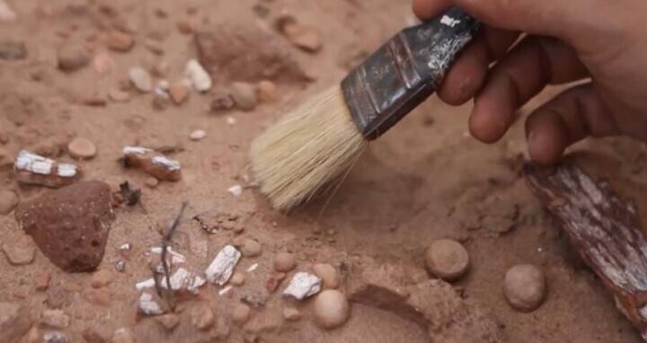 カラスほどの「ミニ恐龍」化石、アルゼンチンのパタゴニアで発見