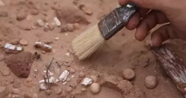 「カラスほどの「ミニ恐龍」化石、アルゼンチンのパタゴニアで発見」の画像