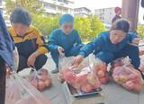 「陝西省洋県と湖北省咸豊県が「恩返し合戦」、きっかけは約4トンのリンゴ―中国」の画像1