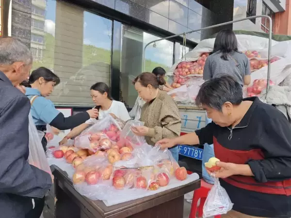 「陝西省洋県と湖北省咸豊県が「恩返し合戦」、きっかけは約4トンのリンゴ―中国」の画像