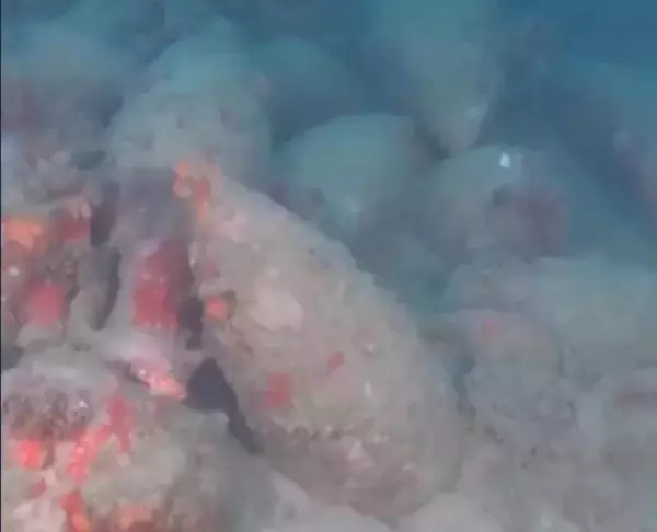 シチリア島沖で古代ローマの沈没船発見、船内に両取っ手付き陶製つぼ