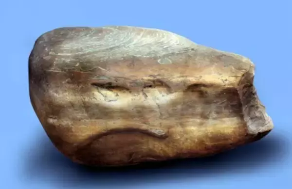 2300年前の「メッセージ」が手掛かりに、歴史から消えた中山国の謎に迫る