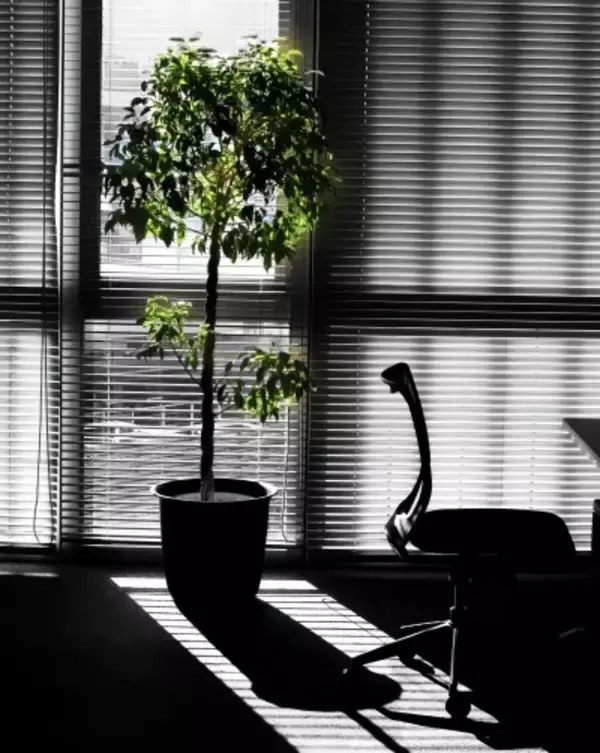 中国で「一人会社」の登録が急増、その背景は―香港メディア