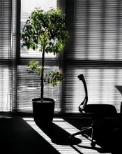 中国で「一人会社」の登録が急増、その背景は―香港メディア