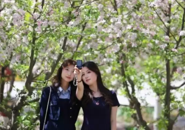 心躍る春を迎え、「花見経済」も活況呈する中国各地