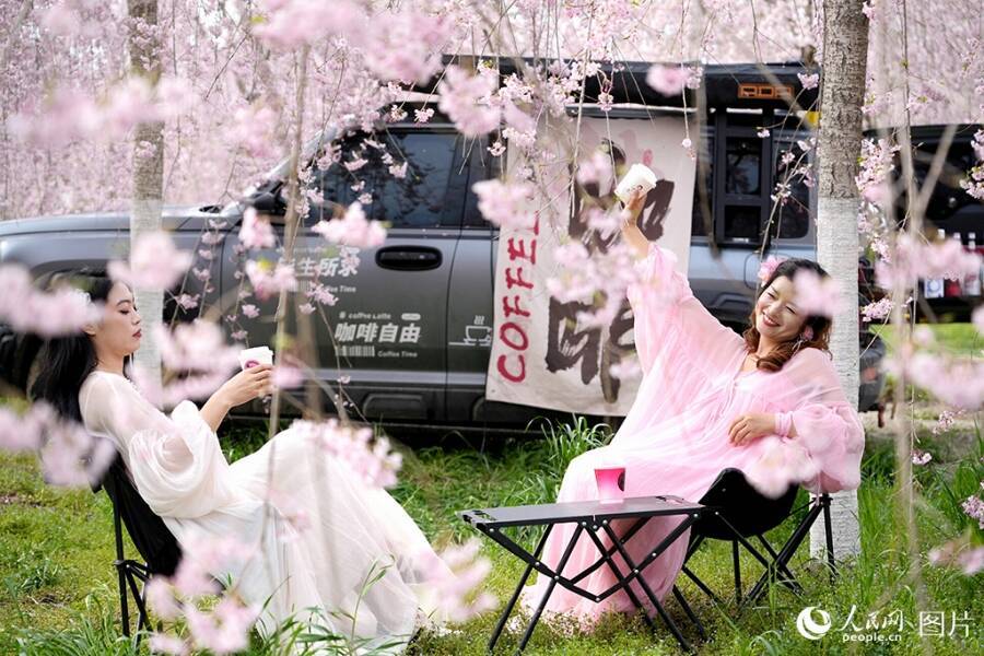 心躍る春を迎え、「花見経済」も活況呈する中国各地