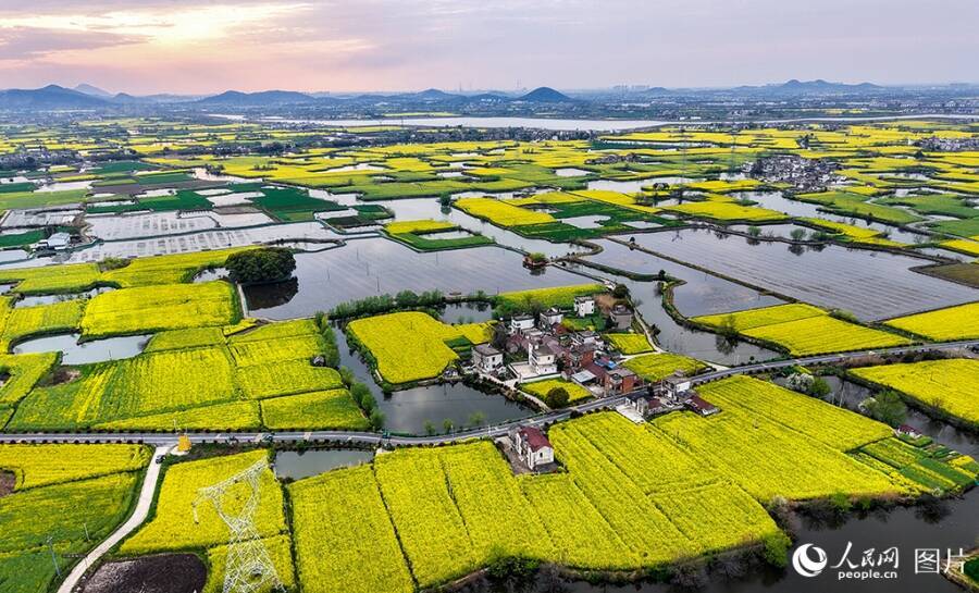 心躍る春を迎え、「花見経済」も活況呈する中国各地