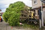 「台風の脅威、アジアはどこまで連携できるのか＝防災格差が地域の脆弱性を生む」の画像1
