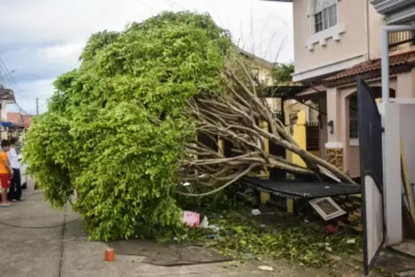 台風の脅威、アジアはどこまで連携できるのか＝防災格差が地域の脆弱性を生む