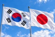 「韓国は単独では生き残れない」SK会長が日韓経済共同体を提案、韓国ネットで賛否