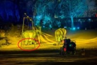 ゾウの足の下の方から人間のくるぶし露出？テーマパーク「人が扮した」―中国