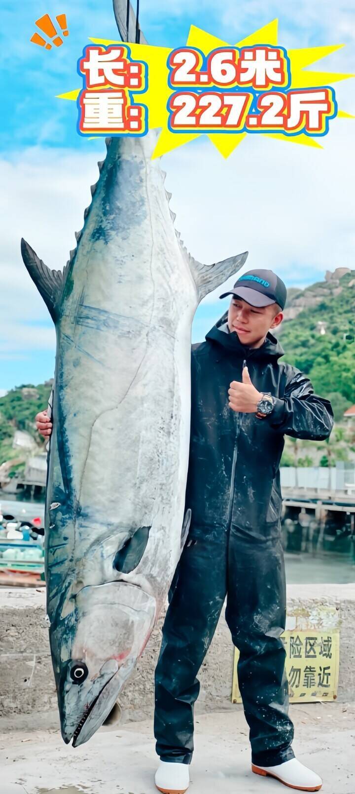 重さ114キロのウシサワラ捕獲、成人男性5人でようやく持ち上げ―広東省珠海市