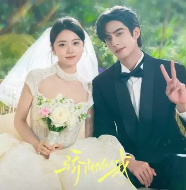 ネットフリックスがベトナムで中国ドラマ「驕陽似我」の配信停止、南シナ海の主権問題で