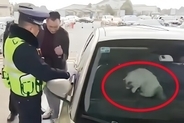 帰省途中の男性が車から閉め出される、原因は車内の愛猫―中国