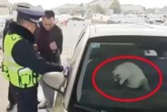 帰省途中の男性が車から閉め出される、原因は車内の愛猫―中国
