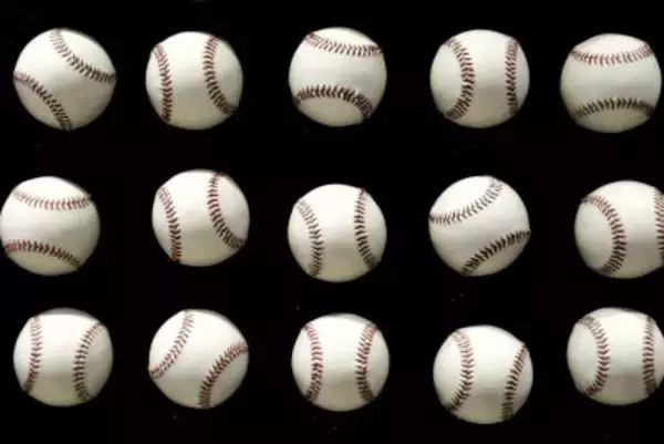 日本のプロ野球球団所属の台湾人選手、近年で最多の12人に―台湾メディア