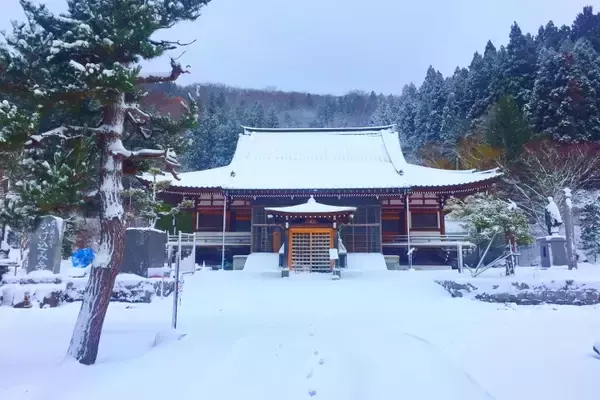 「中国から来たことを知った日本のおばさんが驚き「えっ？大丈夫？」―中国人旅行者」の画像