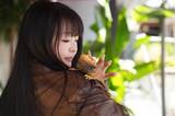 「昆明でエキゾチックなアニマルカフェが人気に―中国」の画像3