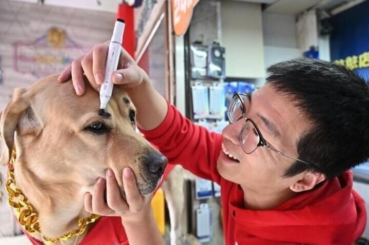 イヌの「店長」は集客の才能あり？―山西省太原市