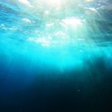 日本の深海レアアース採掘は「金を海に捨てる行為」なのか―香港メディア