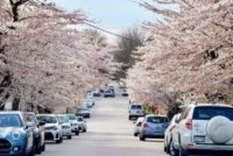 カナダが中国製EVの導入に向け準備、革新的なインフラに関する知見も得られる―加メディア