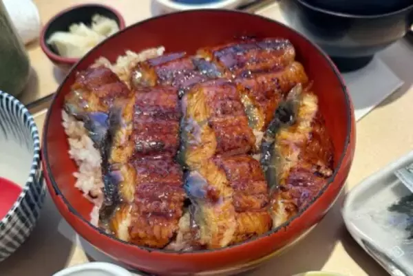 日本人が中国のウナギを食い尽くす？人工繁殖を阻む「自然の壁」―中国メディア