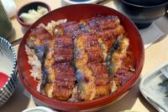 日本人が中国のウナギを食い尽くす？人工繁殖を阻む「自然の壁」―中国メディア