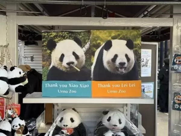 ジャイアントパンダの「シャオシャオ」と「レイレイ」、27日に日本から帰国
