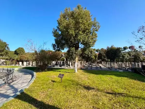 「中国で高級墓所が売れない理由とは？高騰する価格と変わる消費者の選択」の画像