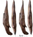 「CMG、2025年の「中国内外の十大考古学ニュース」を発表」の画像1