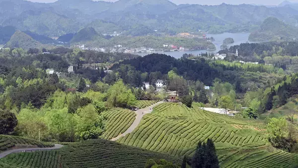 再貧困化防止措置を常態化、雇用支援策が相次ぎ実施―中国