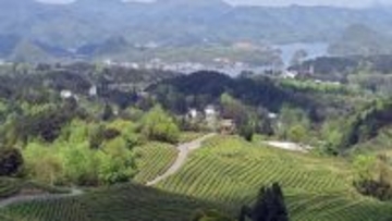 再貧困化防止措置を常態化、雇用支援策が相次ぎ実施―中国