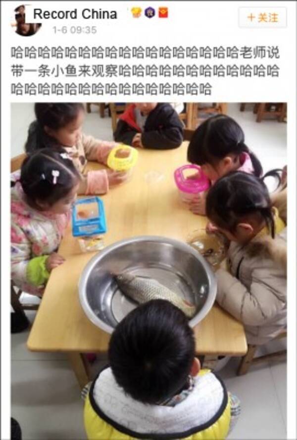 爆笑不可避 ネットの話題独占 魚を持ってきた園児 中国 17年1月9日 エキサイトニュース