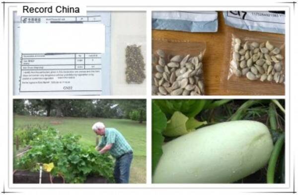 中国からの謎の種 植えてみたらこうなった 中国メディア 年8月27日 エキサイトニュース