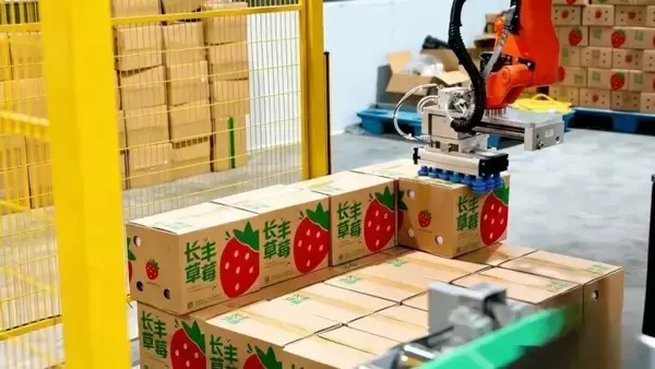 「安徽省長豊県のイチゴが百億元規模の大産業に発展したワケ―中国」の画像