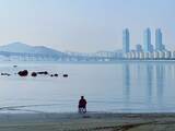「韓国株式市場で外国人投資家の資金流出が加速している原因は？―中国メディア」の画像1