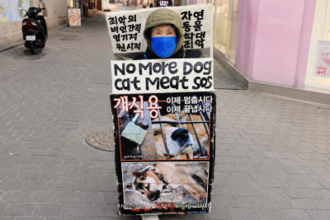韓国で犬食禁止法が来年施行、食用目的で飼育されていた多くの犬の行方分からず―仏メディア