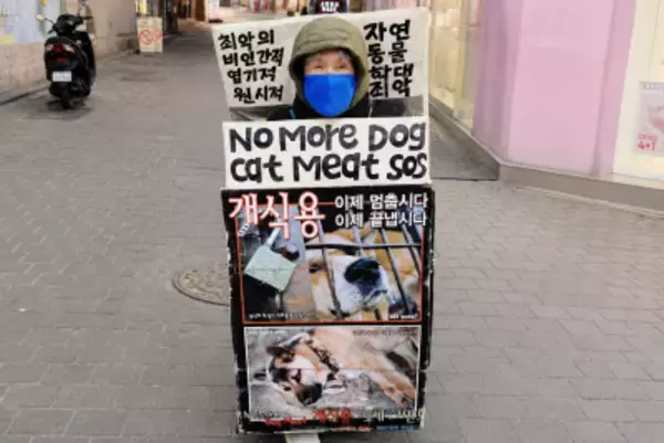 韓国で犬食禁止法が来年施行、食用目的で飼育されていた多くの犬の行方分からず―仏メディア