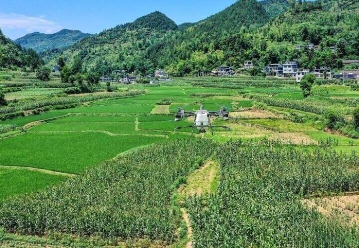 貴州省銅仁市、ドローンで山岳農業の発展の道を切り開く―中国