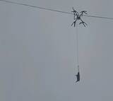 「中国の山村で10時間停電、生きたブタをつるして運搬していたドローンが電線に引っかかる」の画像1