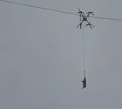 中国の山村で10時間停電、生きたブタをつるして運搬していたドローンが電線に引っかかる