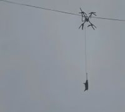中国の山村で10時間停電、生きたブタをつるして運搬していたドローンが電線に引っかかる
