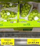「「シャインマスカット問題で憤慨」の日本、国産品種保護の専門機関設立へ＝ネット「今さら遅い」」の画像1