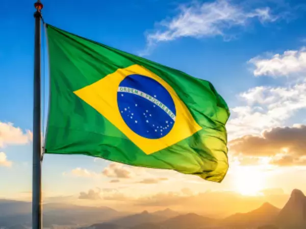 中国のレアアース独占から脱却へ、ブラジルは受け皿となれるのか―独メディア