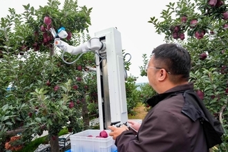 ロボットやデータを活用した栽培・収穫、リンゴ園に「デジタル頭脳」導入―中国
