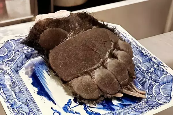 「日本のスーパーに毛と爪が付いたままの「熊掌」、写真がSNSで物議―台湾メディア」の画像