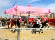 中国でまた本物の馬を使ったメリーゴーラウンド、「動物虐待」批判受け中止に