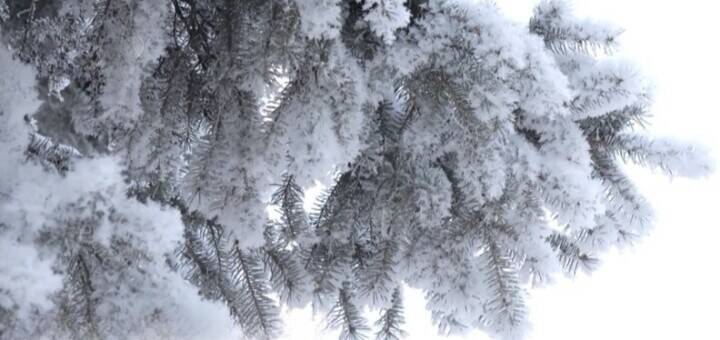 これで無駄足を踏まずに済む！吉林省吉林市が観光客に「霧氷予報」を提供―中国